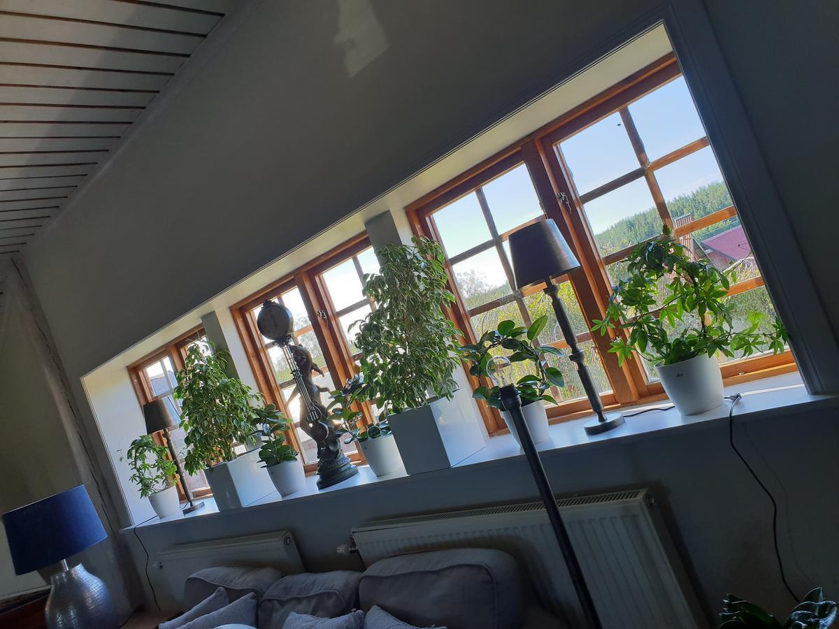 Söderköping Aaengens Bed O Breakfast B&B 외부 사진